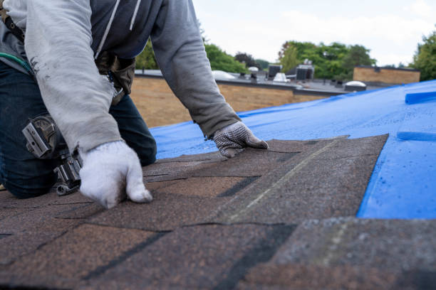 Best Roof Repair Services  in Evansdale, IA